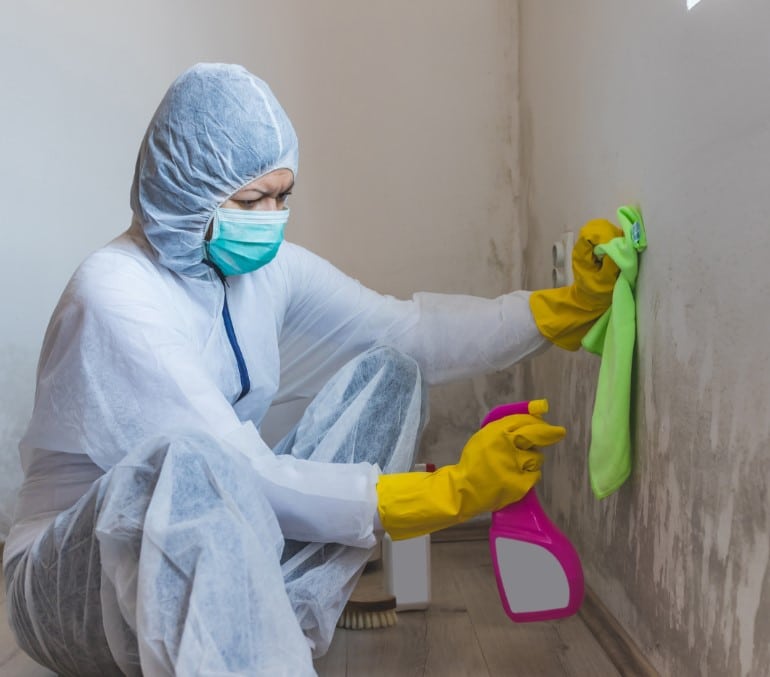 How To Clean Up Mold