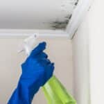 Mold Control in Your Home