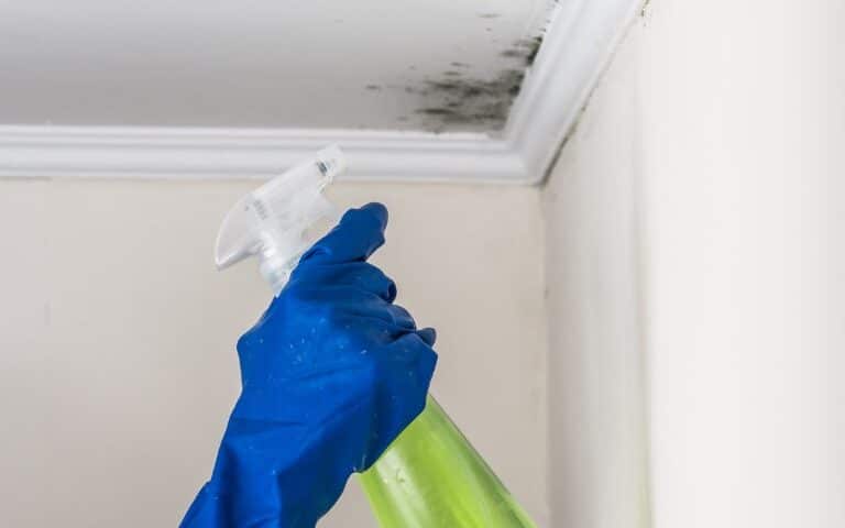 Mold Control in Your Home