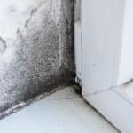 5 Proven Methods to Keep Mold at Bay in Your Home After Water Damage 2