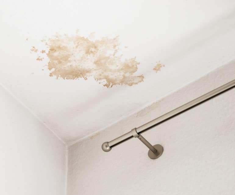 Long Term Effects of Untreated Water Damage