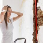 The Dangers of Untreated Water Damage